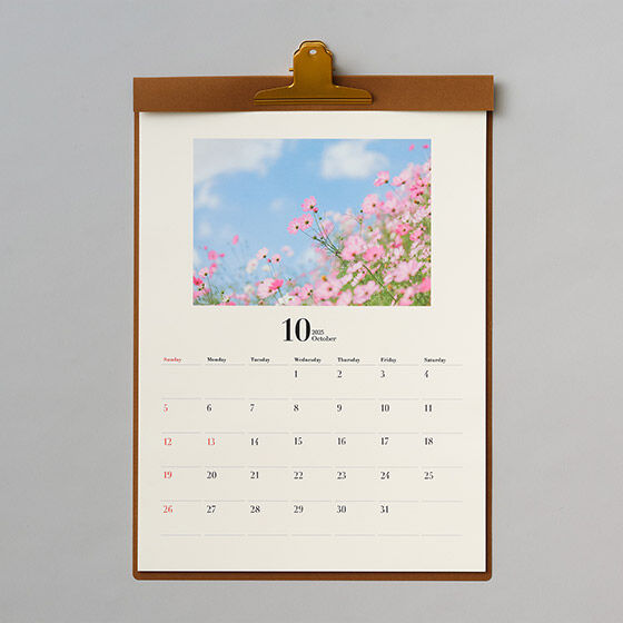 ◆【にらめっこタオル】【写真集】【壁掛けカレンダー】 壁掛けカレンダー COYOMI｜富士フイルム公式ストア