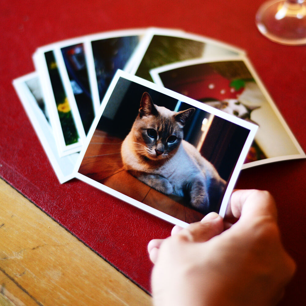 デジカメプリントマット  FUJIFILMプリント＆ギフト  富士フイルムの 