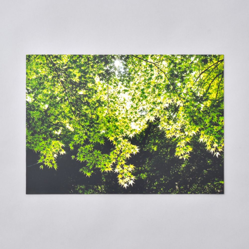 プレミアムプリント｜富士フイルム公式ストア