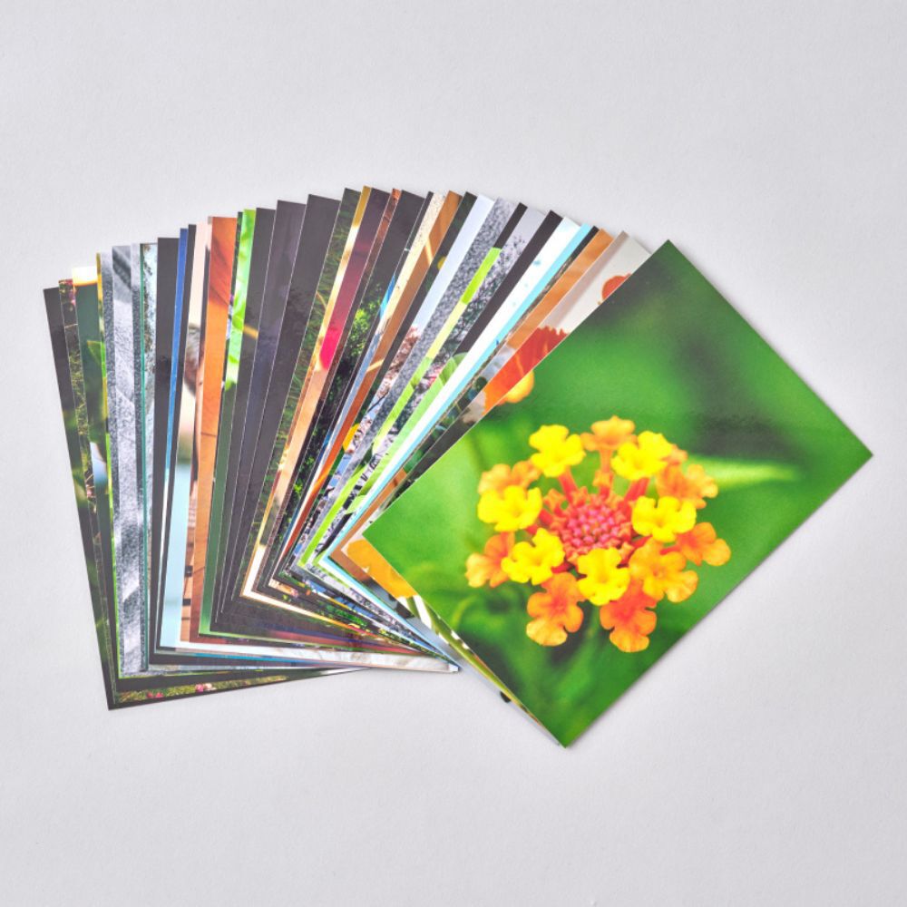 スマホプリント・デジカメプリント | 写真のネットプリントサービス