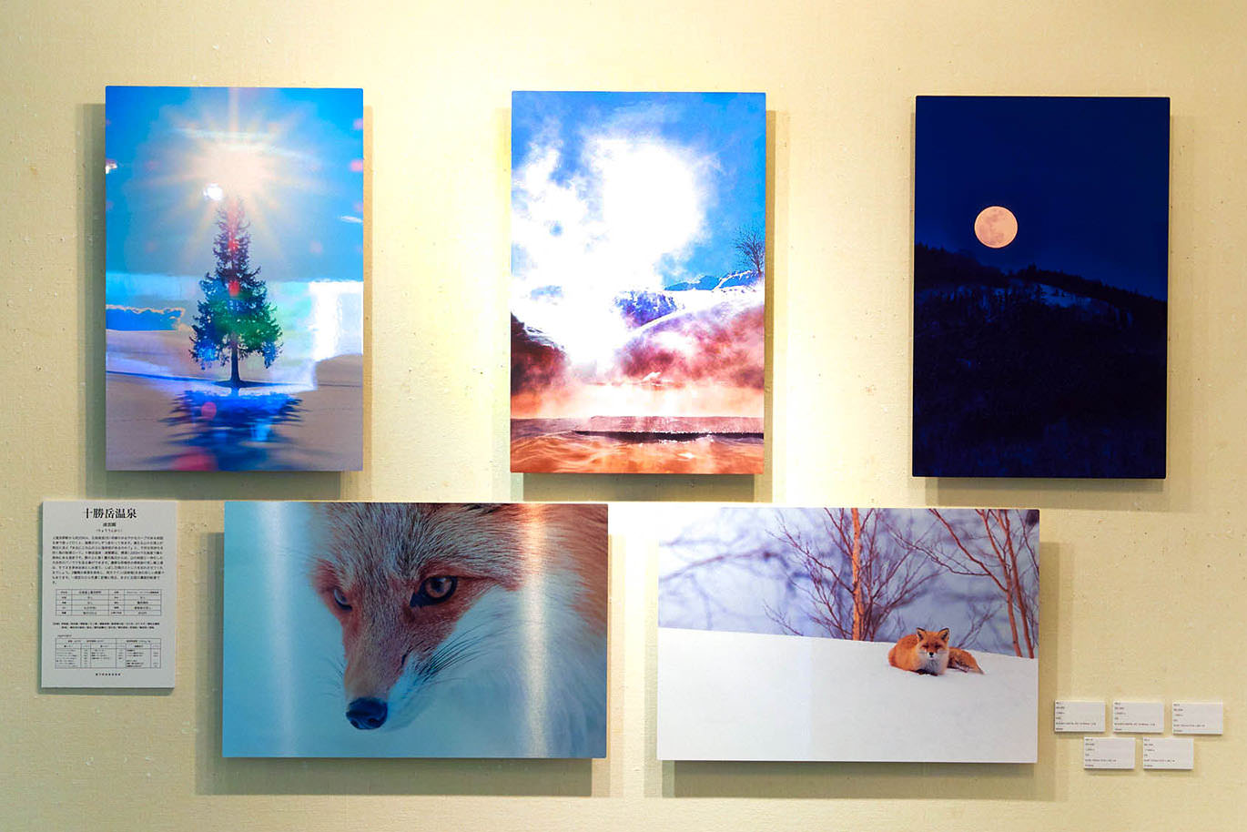 冬の景色や動物のWALL DECOR ミュージアムが並ぶ、展示作品
