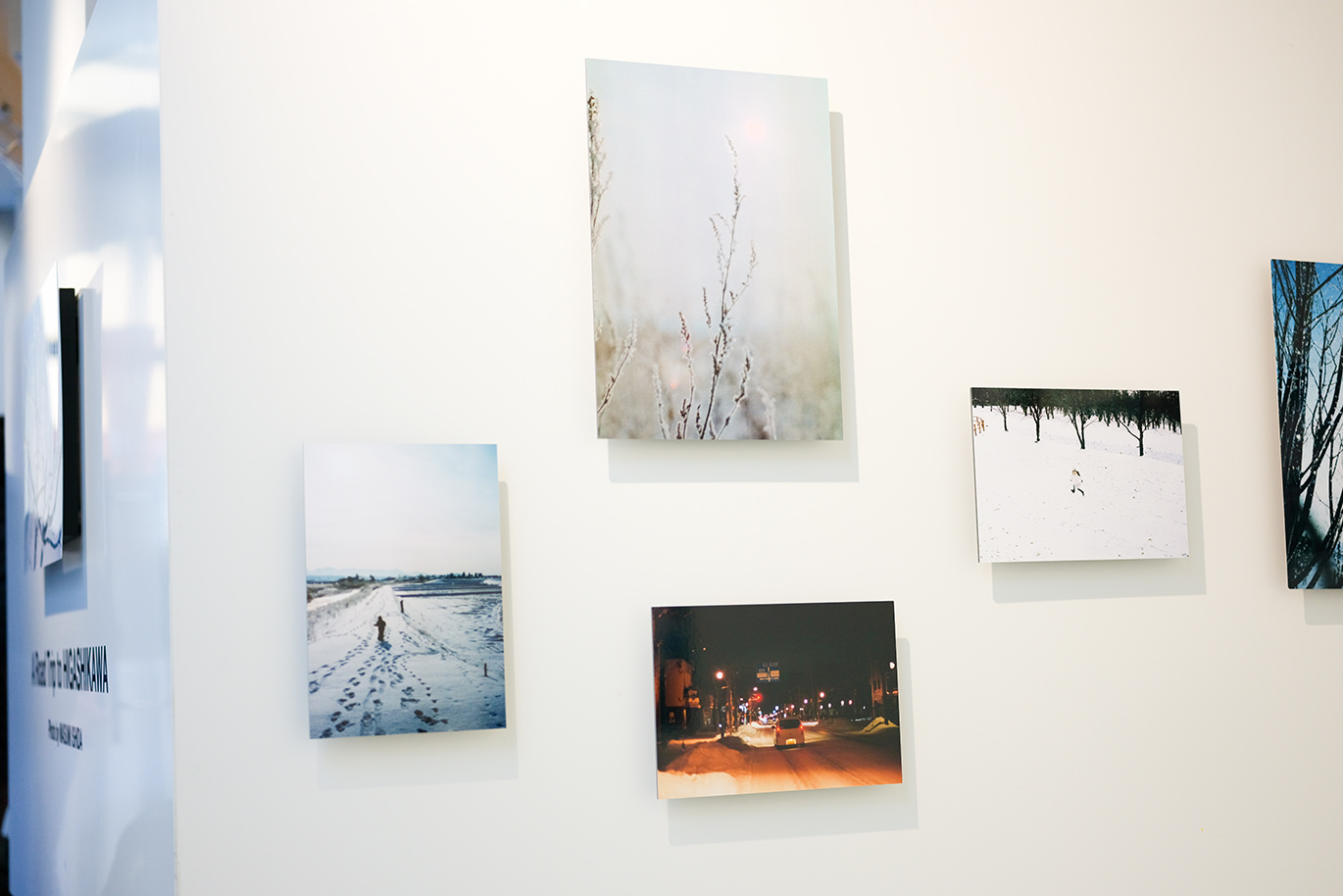 白い壁に展示された、北海道東川町の雪景色を写した写真のWALL DECOR
