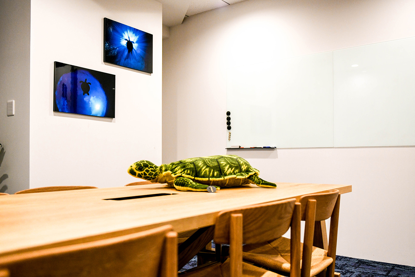 テーブルに置かれたカメのぬいぐるみと壁に飾られた海亀が泳ぐ2枚のWALL DECOR カジュアル