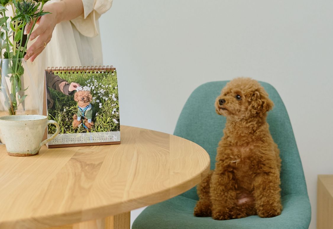 愛犬・愛猫のカレンダーイメージ