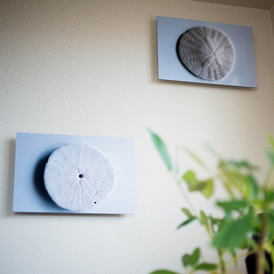 白い壁に2枚飾られた、質感のある円形アート作品のWALL DECOR ミュージアム。手前に観葉植物の葉が写り込んでいる。