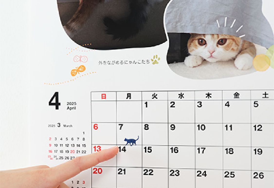 日付エリアをデコレーション