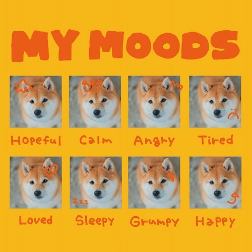 MY MOODS