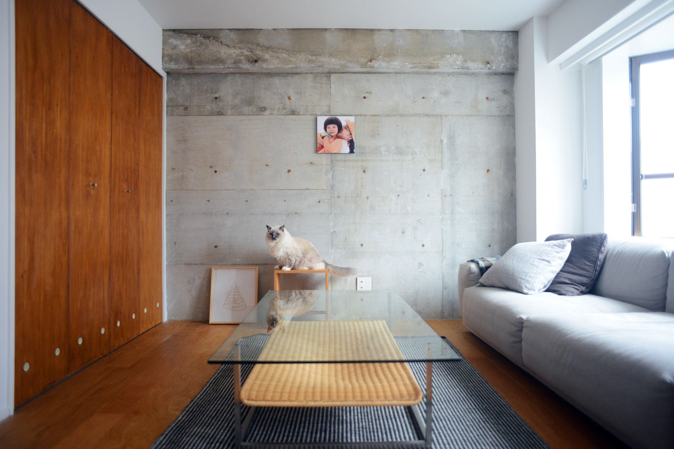 猫がくつろぐ部屋の壁に飾られた、親子写真のWALL DECOR カジュアル