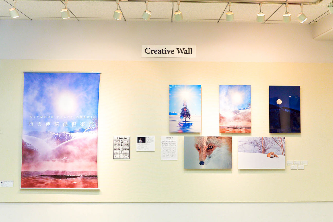 キツネや冬景色の写真が壁に並ぶ、色鮮やかなWALL DECOR