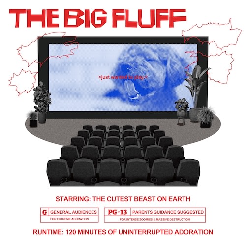 THE BIG FLUFF