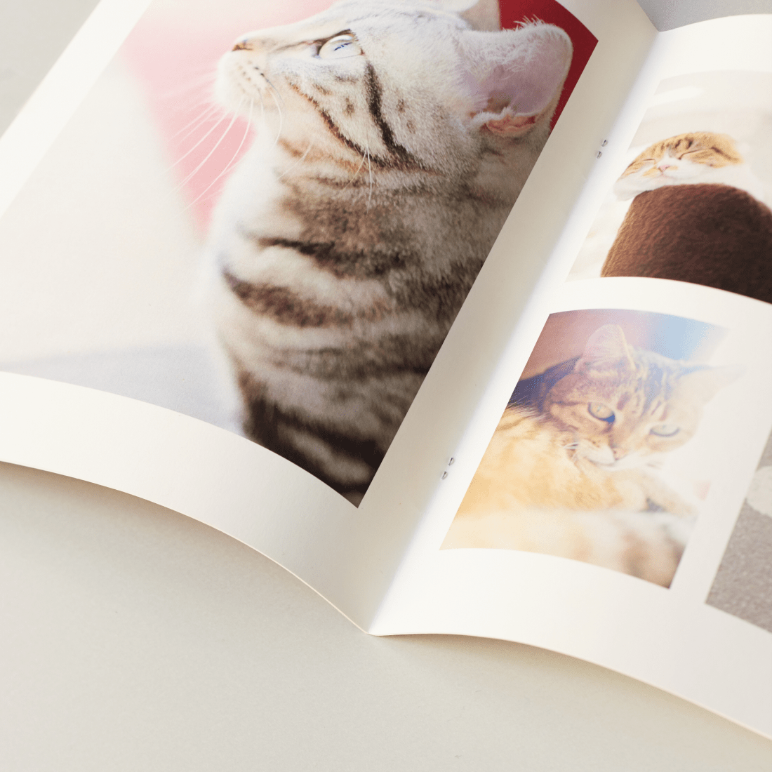 PhotoZINE Magazineタイプの製品イメージ03