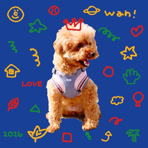 colorful stamp