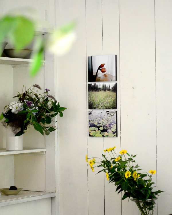 白い壁にWALL DECOR カジュアルが飾られた、草花のある静かな部屋の風景