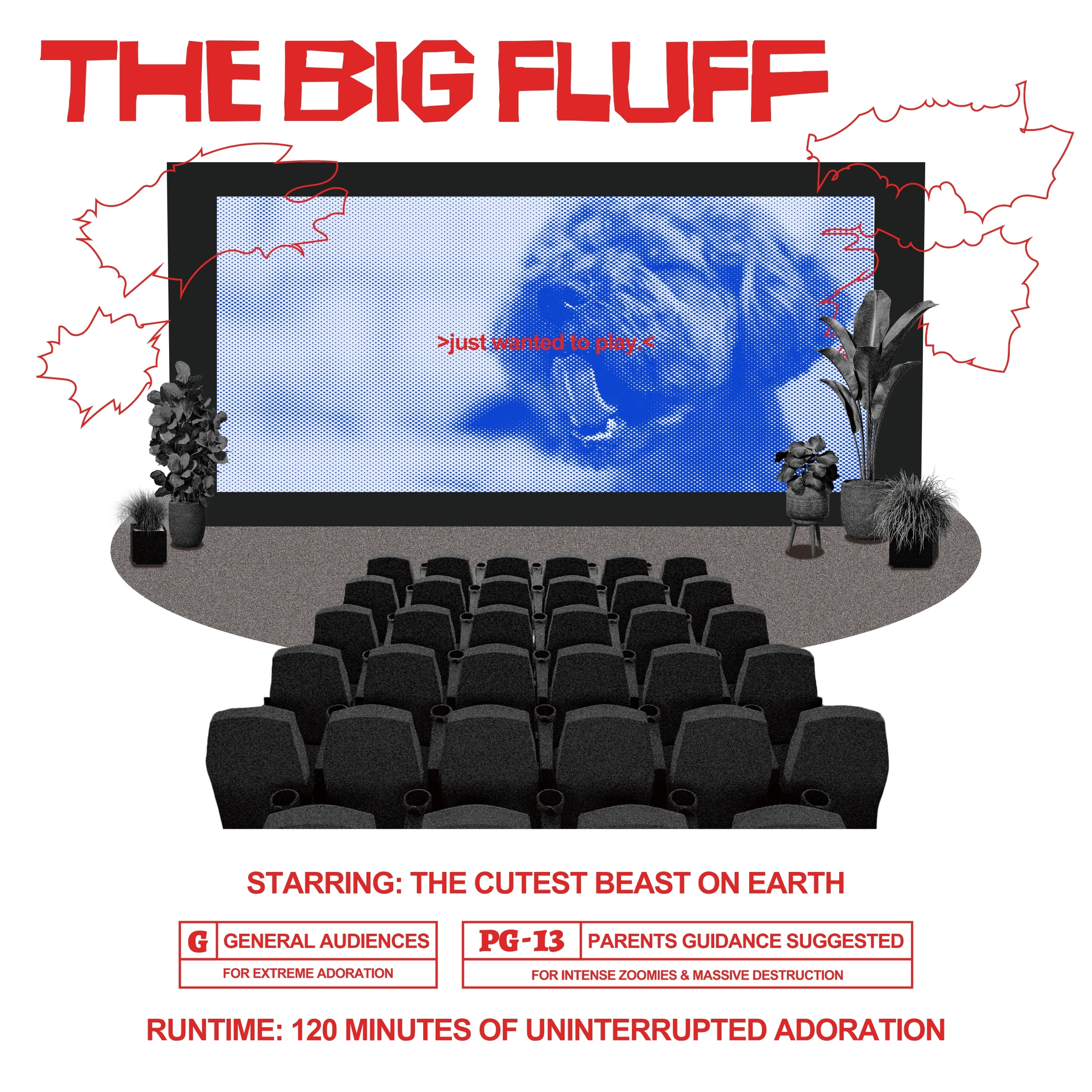 THE BIG FLUFF