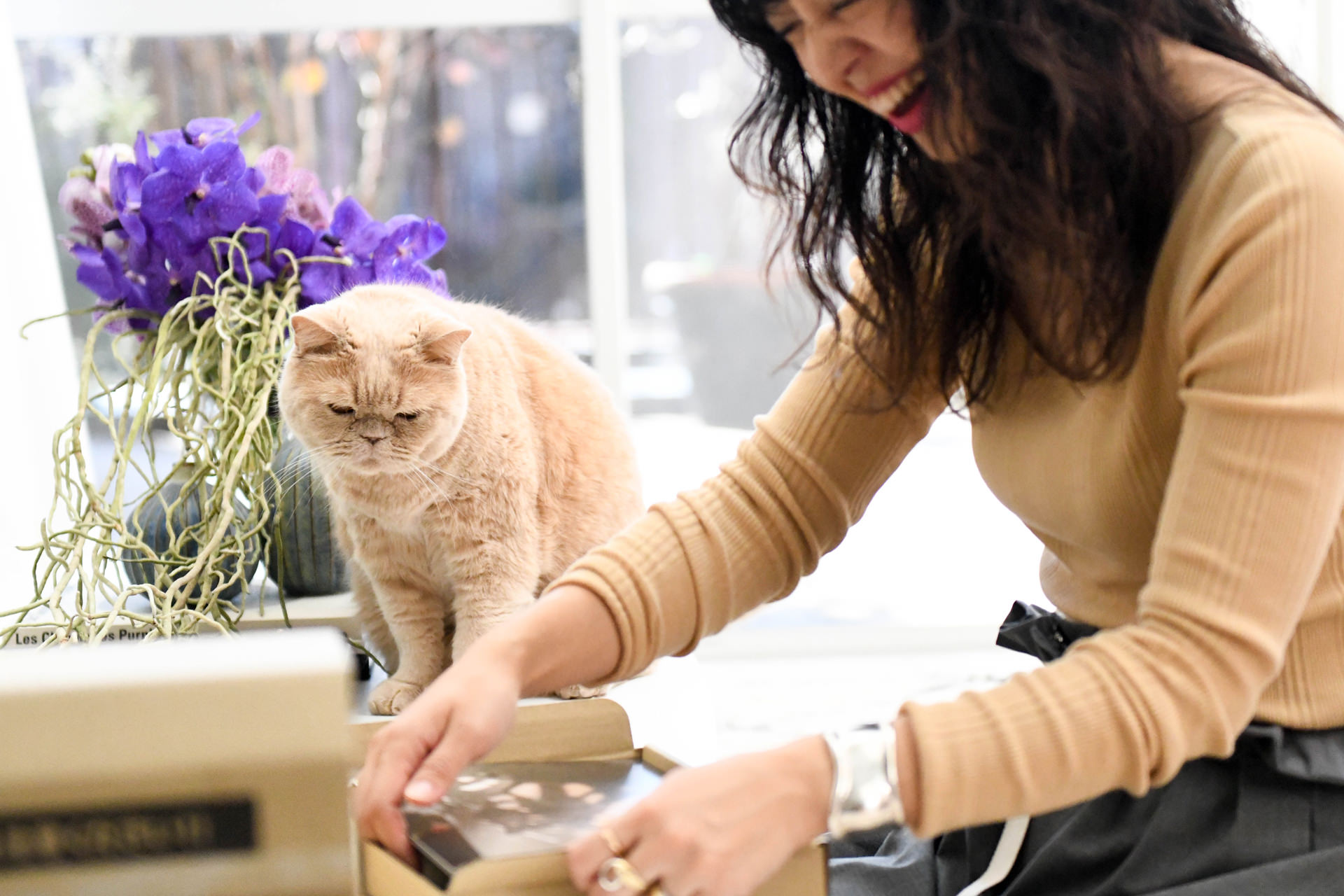 紫の花が飾られたテーブルで、箱を開ける女性とそれを見守る薄茶色の猫。明るい光の中で、二人の穏やかな日常を切り取った一枚。