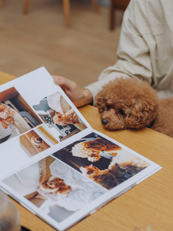 ペットの写真特集