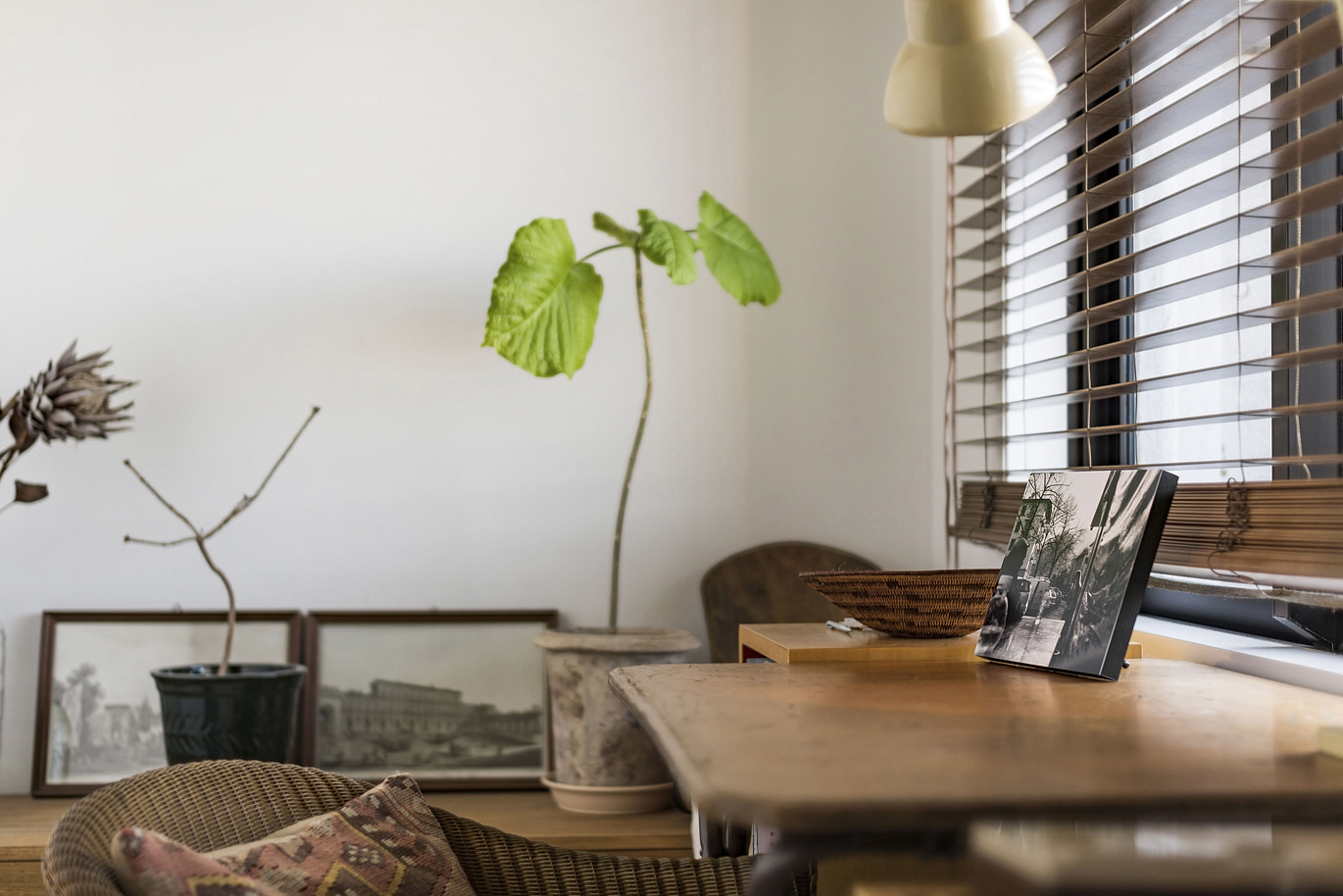 シンプルなインテリアと観葉植物のある空間