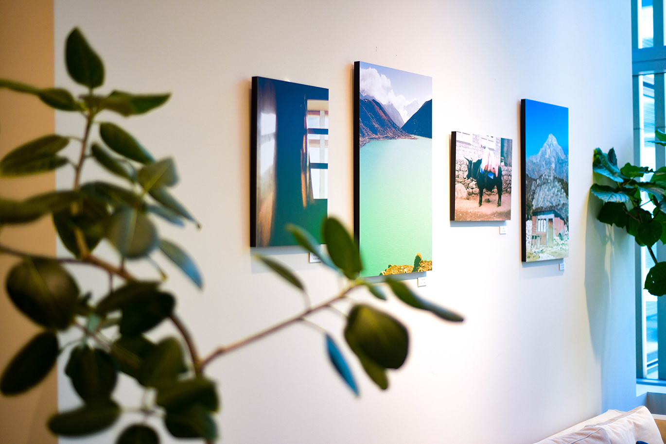 観葉植物越しの壁に並べて飾られた、風景写真のWALL DECOR カジュアル