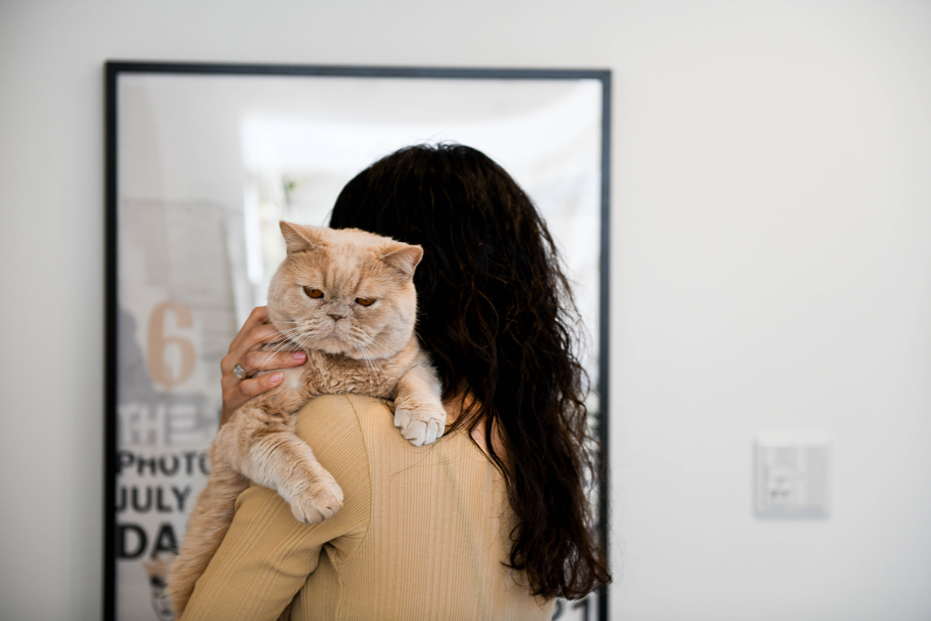 女性の肩に抱かれ、穏やかな表情で遠くを見つめる薄茶色の猫。女性の背後にはモノトーンのアートフレームが飾られた、親密な空気感の漂う日常のひとコマ。