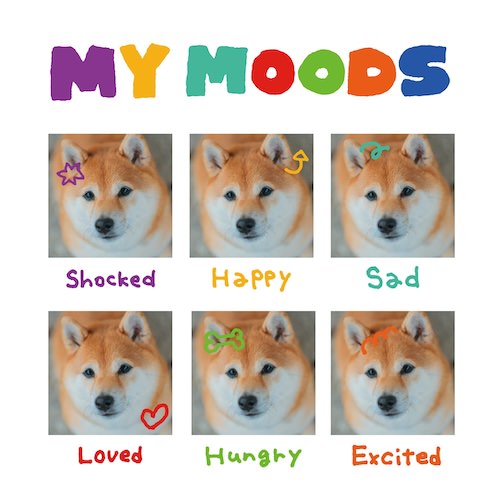 MY MOODS