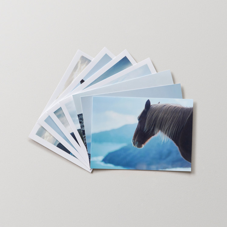 ハーフサイズプリント