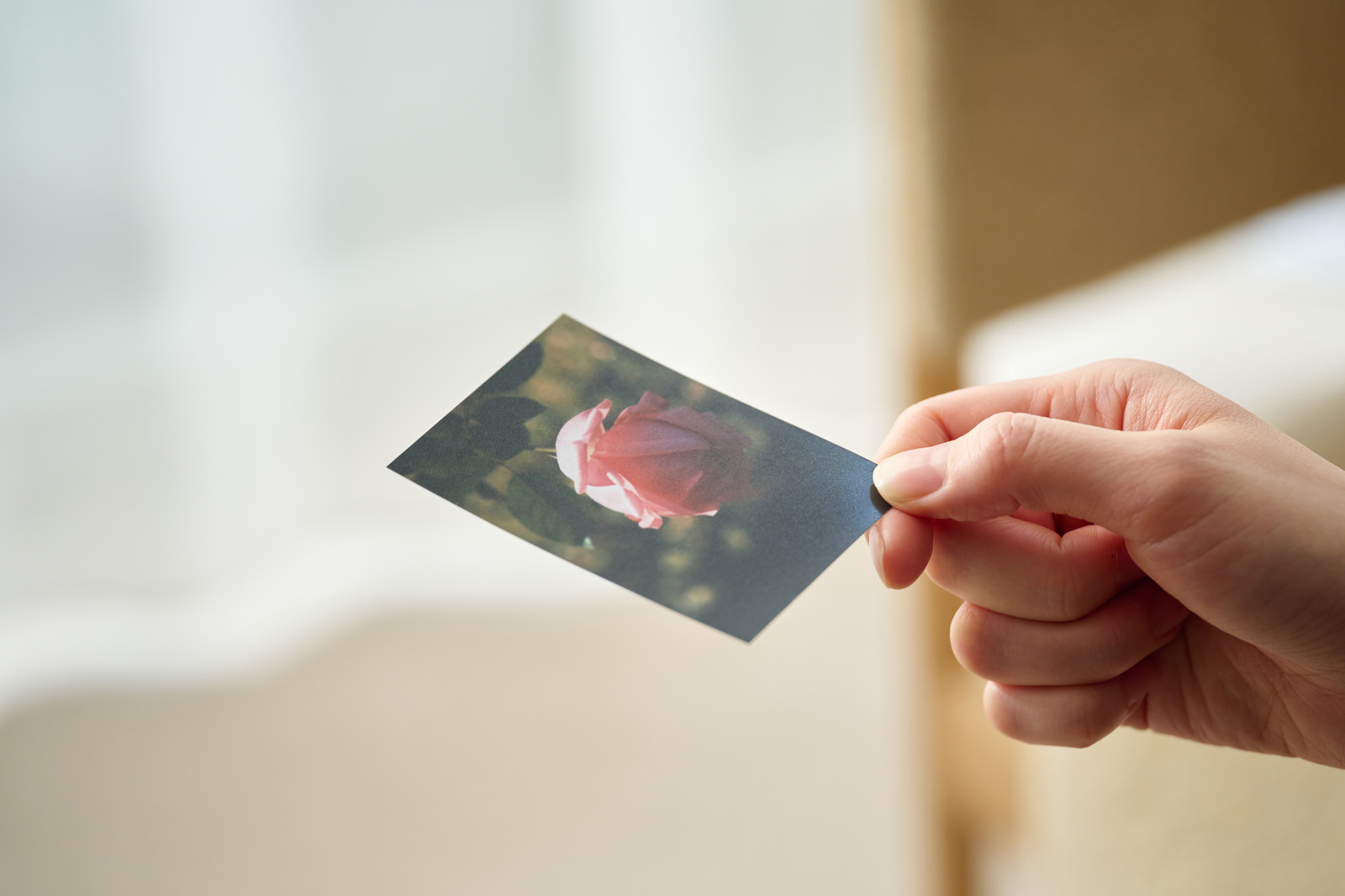 ハーフサイズプリント