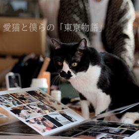 愛猫と僕らの「東京物語」