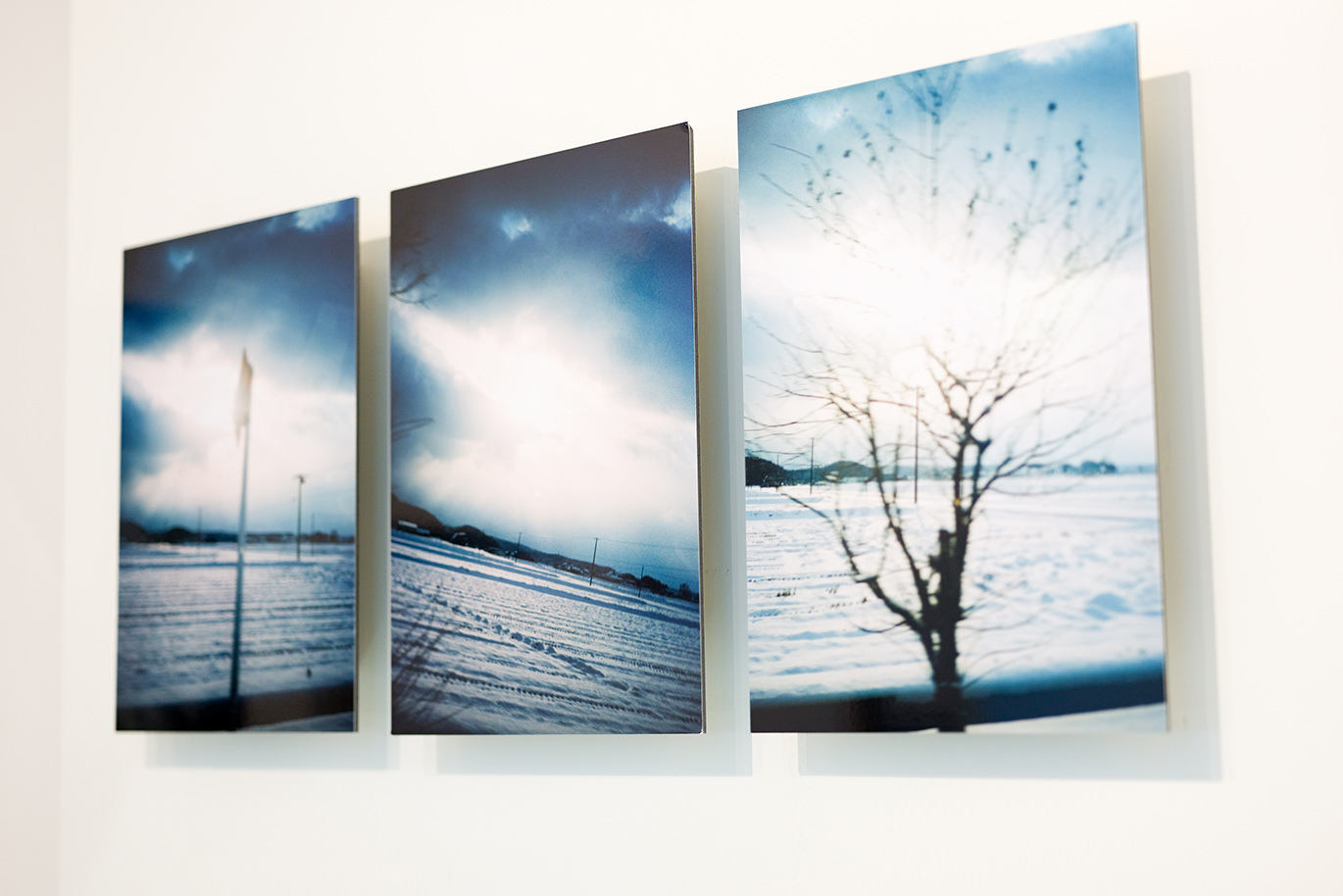 白い壁に並べて飾られた、雪原や空の風景写真のWALL DECOR ミュージアム