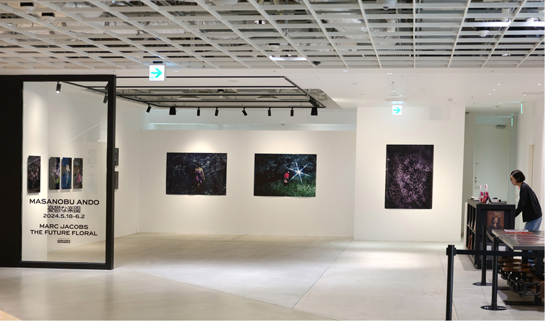 白を基調とした広々としたギャラリーの展示空間に、人物や輝く光を捉えた大判の写真パネルが数枚並んで展示されている。