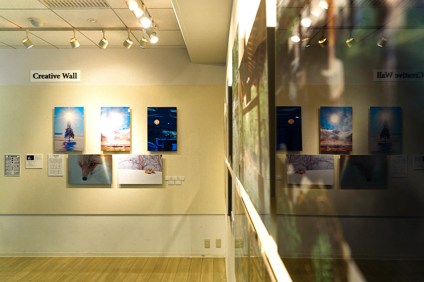 展示されているWALL DECOR ミュージアムと照明のある壁