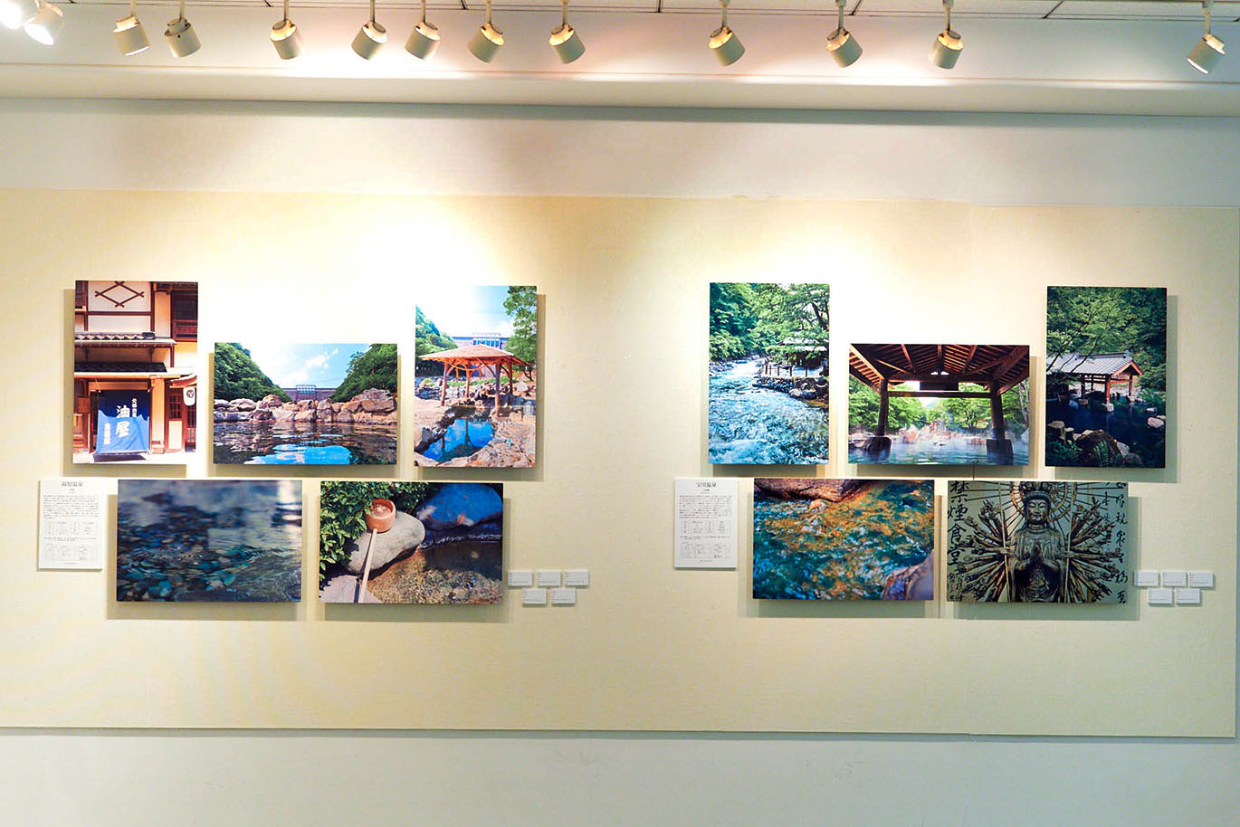 複数のWALL DECOR ミュージアムを使用した写真が展示された壁面