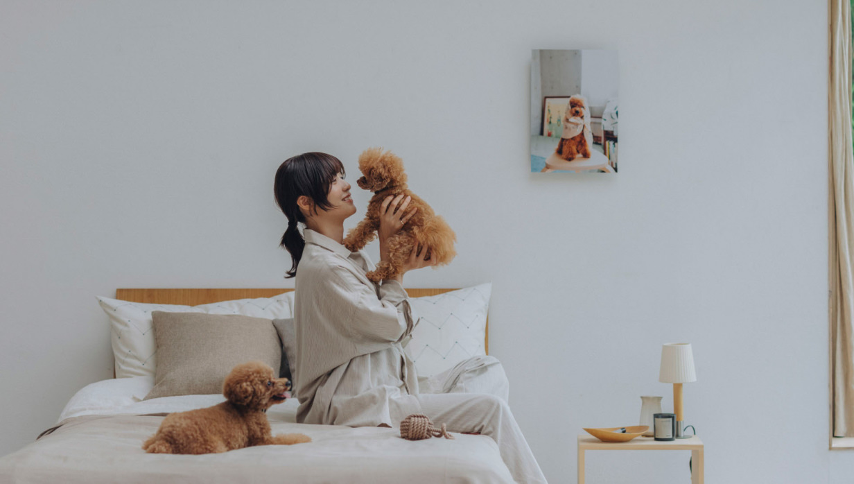 ベッドで愛犬と遊ぶ女性と壁に飾られた犬の写真のWALL DECOR