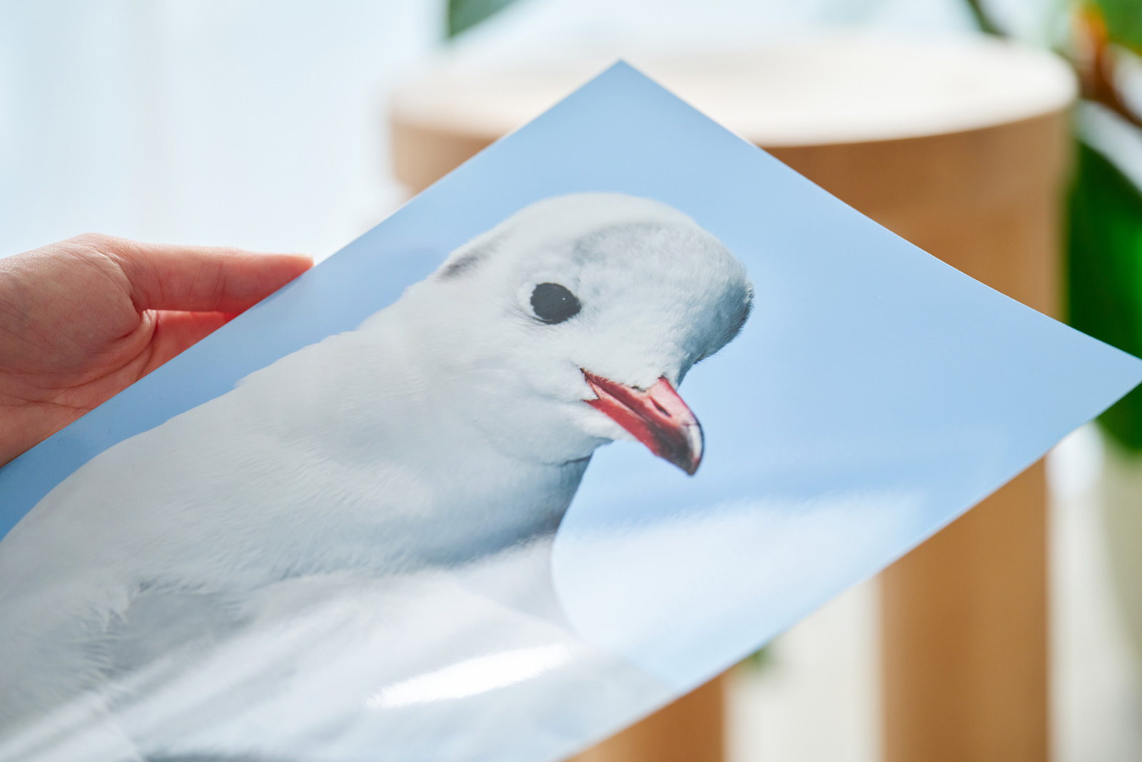 プレミアムプリント