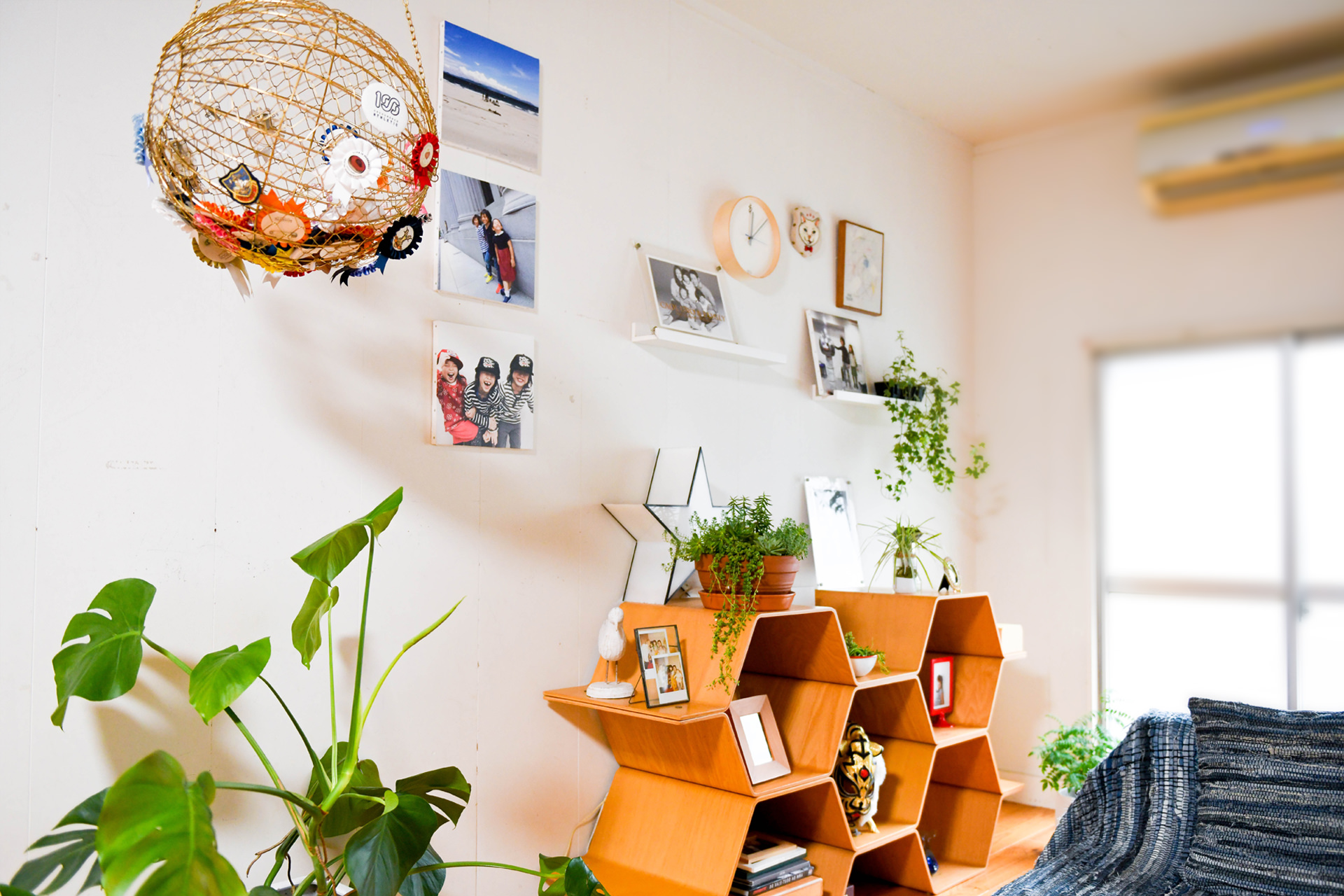 鉢植えの植物や本、小物が所狭しと並ぶ、ライフスタイルを感じさせる棚の一角。