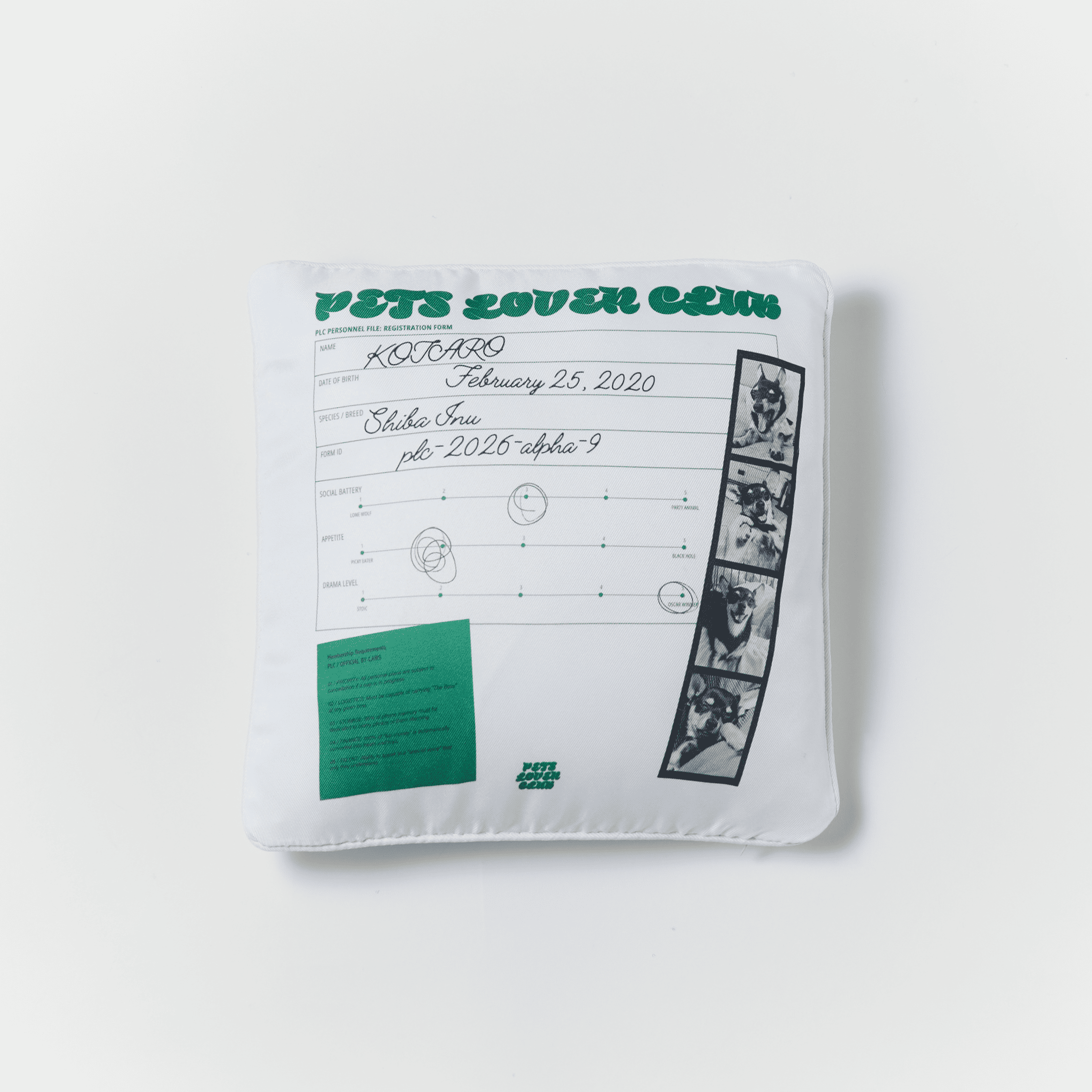 PET LOVER'S CLUB