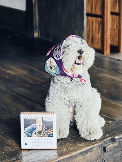 愛犬との思い出をいつもそばに。レノン&れあるのフォトカレンダー。