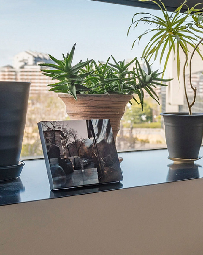 窓辺に並ぶ観葉植物の鉢植えと一緒に、風景写真のWALL DECOR カジュアルを立て掛けて飾る。