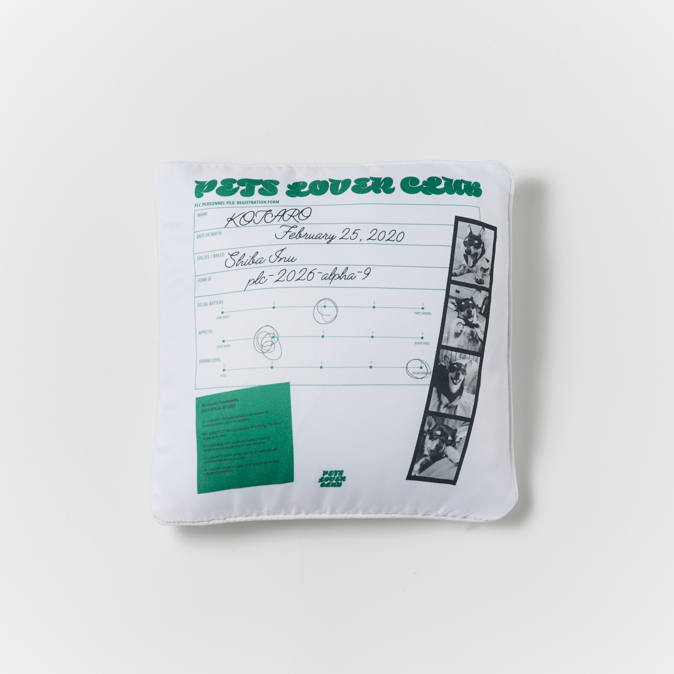 PET LOVER'S CLUB - 1