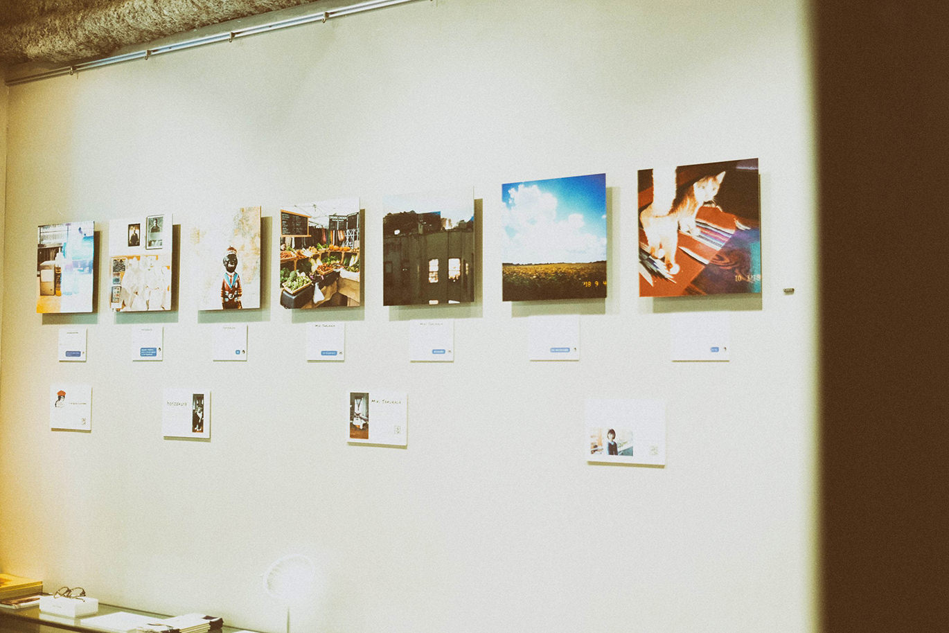 白い壁に横一列に展示された、猫や風景など様々な写真のWALL DECOR