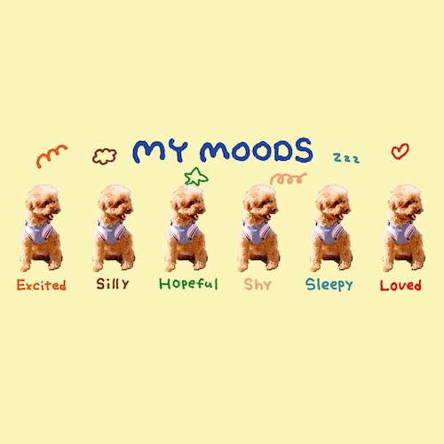 MY MOODS