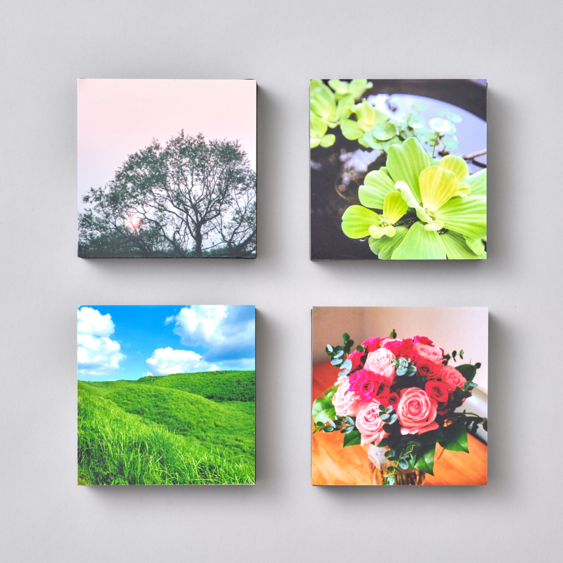 木や花など自然の写真が4枚並んだ、正方形のWALL DECOR カジュアルライト