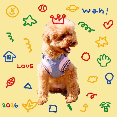 colorful stamp