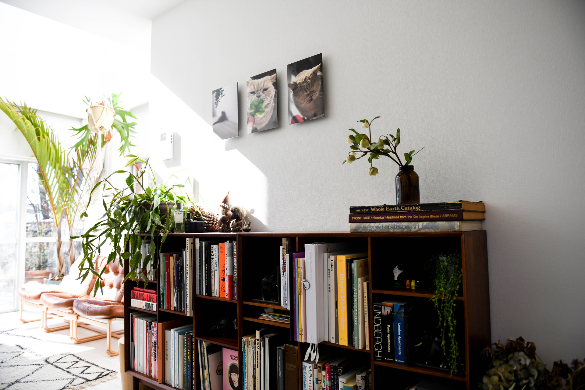 本棚と植物のある部屋の壁に飾られたWALL DECOR ミュージアム