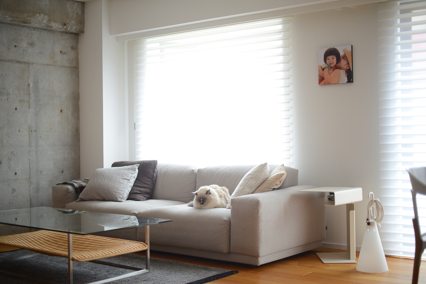 猫が眠るソファ横の壁に親子写真を飾ったWALL DECOR カジュアル