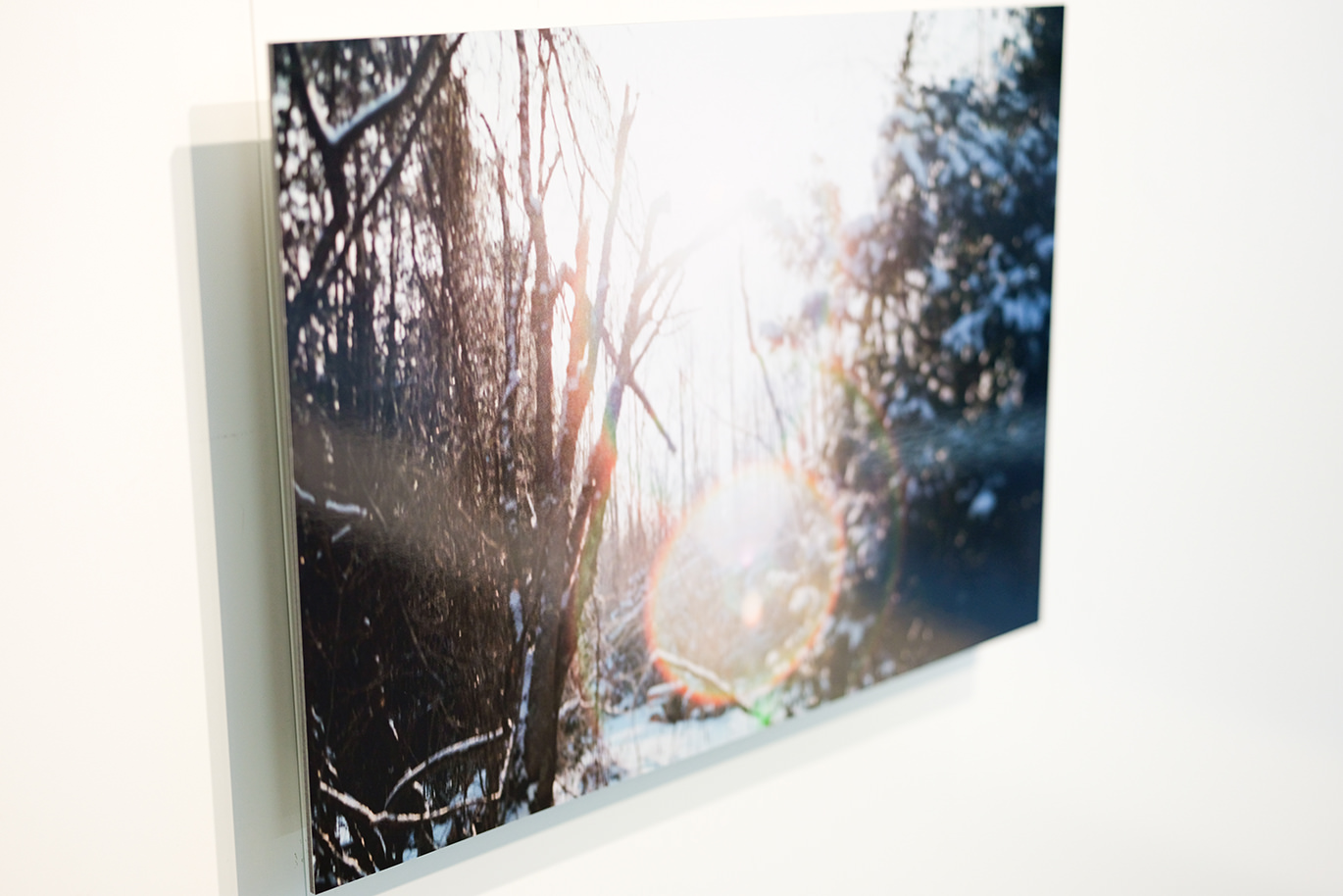 白い壁に飾られた、木漏れ日が差す雪景色の写真のWALL DECOR