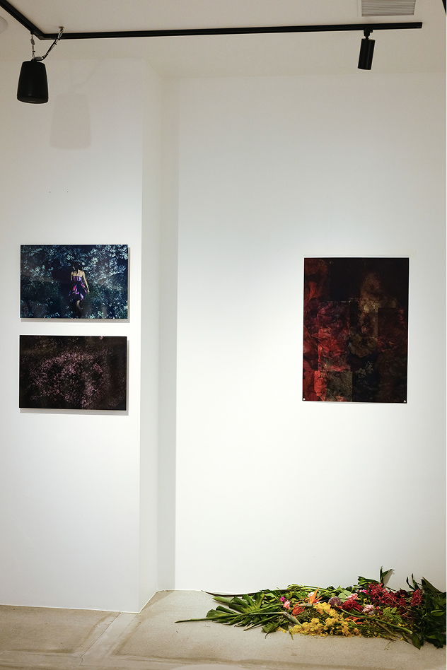 ギャラリーの白い壁面に、紫色のドレスを着た女性の写真や、赤黒い色彩の抽象的な写真パネルが計3枚展示されている。