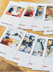 「チューと言えばニャー」のフォトカレンダー。10年以上記録し続ける愛猫との思い出。