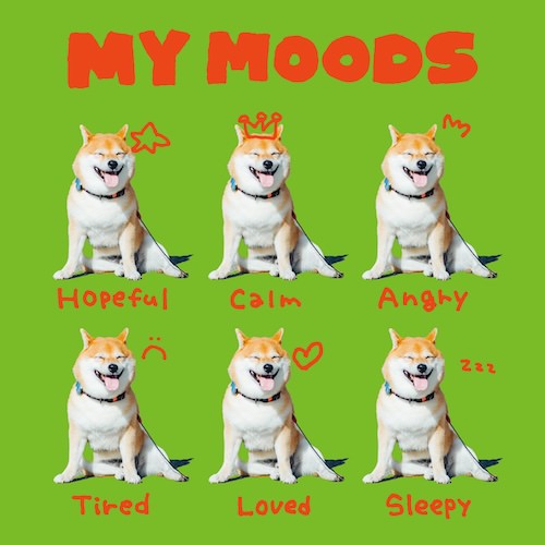 MY MOODS