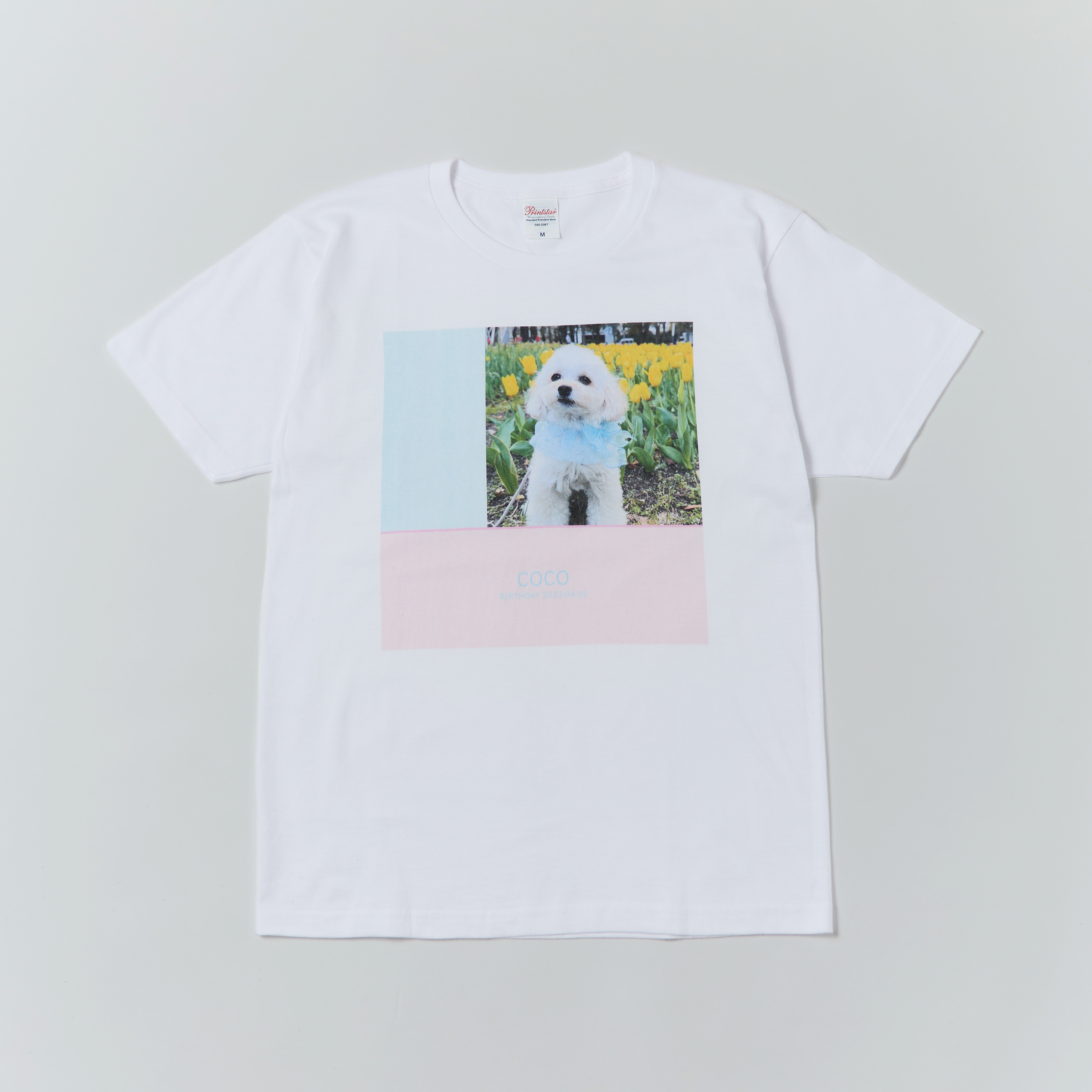 COLOR FIELD - 1