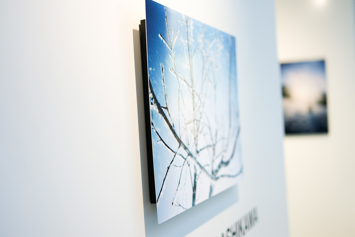 冬の青空と枝の写真が白い壁に飾られた、正方形のWALL DECOR ミュージアム